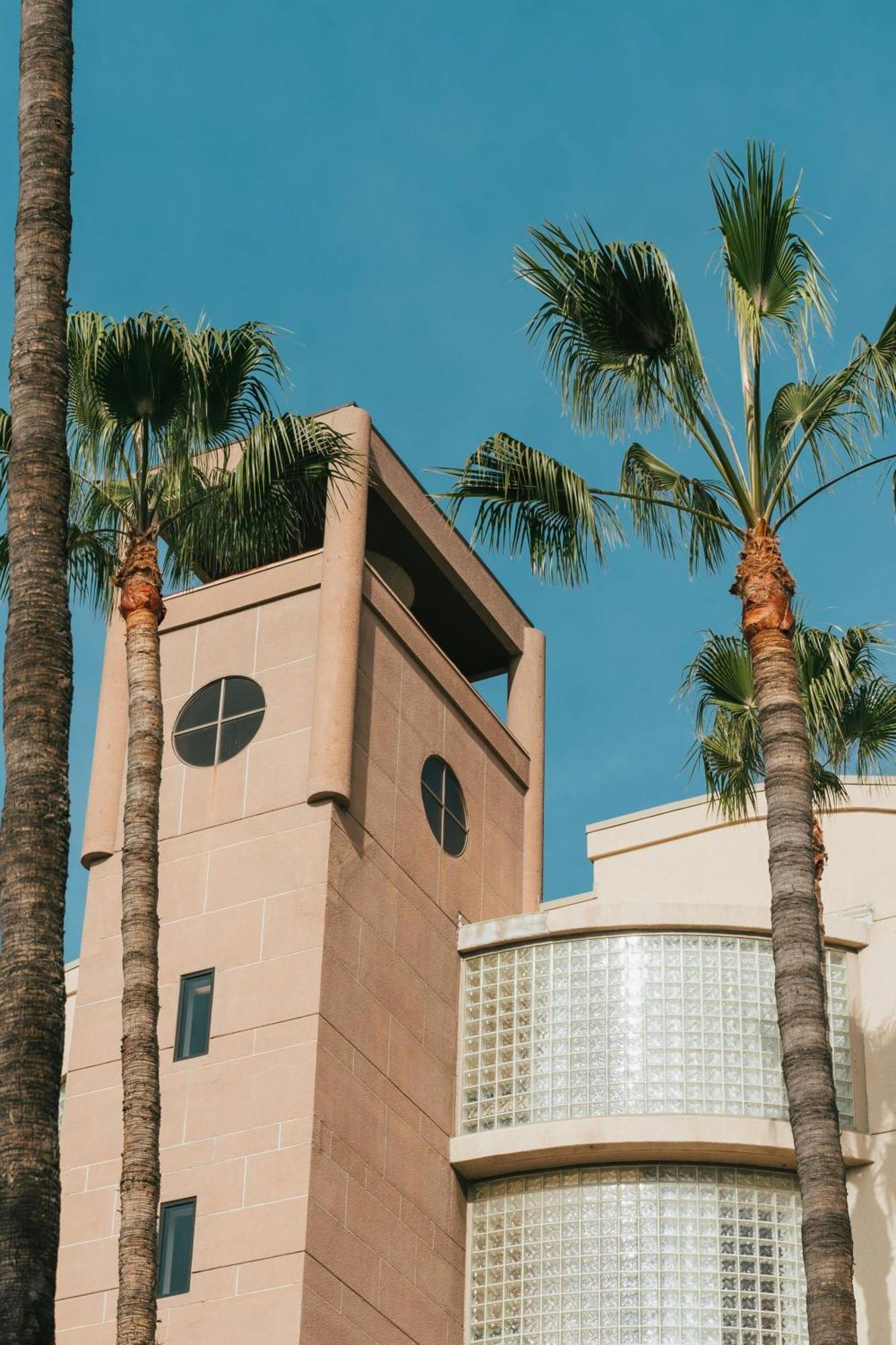 Courtyard By Marriott Los Angeles Lax / Century Boulevard Eksteriør bilde